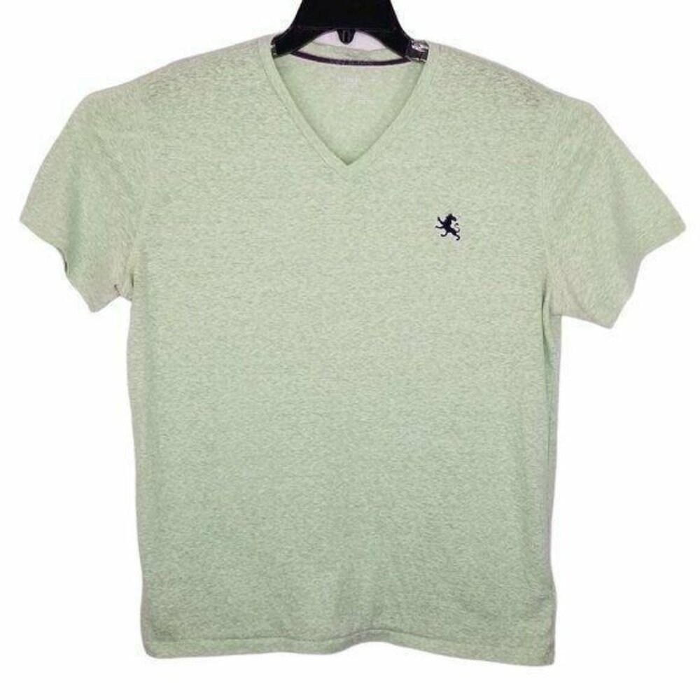 Express Men's L Green V-Neck Short Sleeve T-Shirt Tee Basic Summer Spring